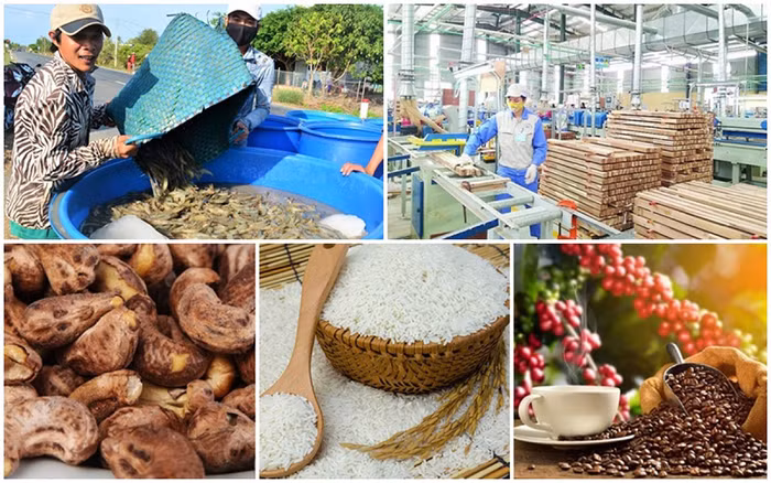 Oxfam hiến kế giúp doanh nghiệp nâng cao giá trị nông sản