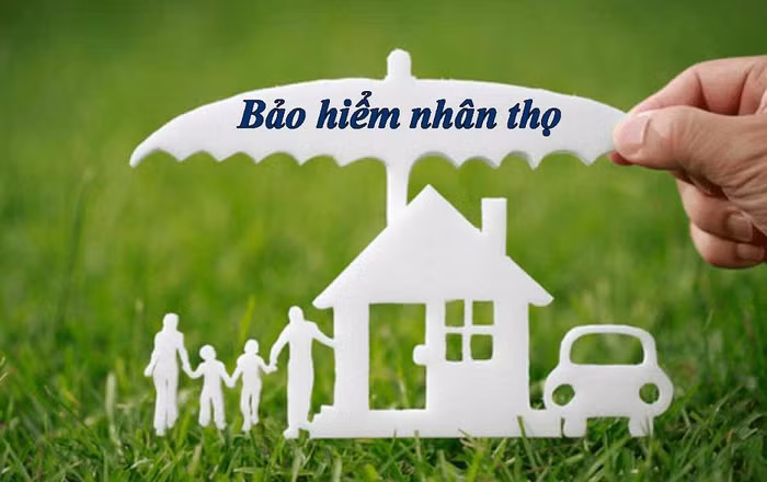 bảo hiểm