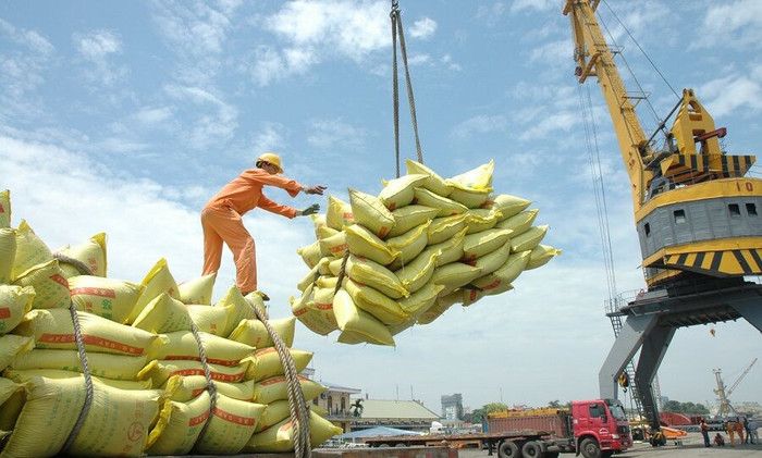 Hiệp định EVFTA, thời cơ lớn cho doanh nghiệp xuất khẩu gạo