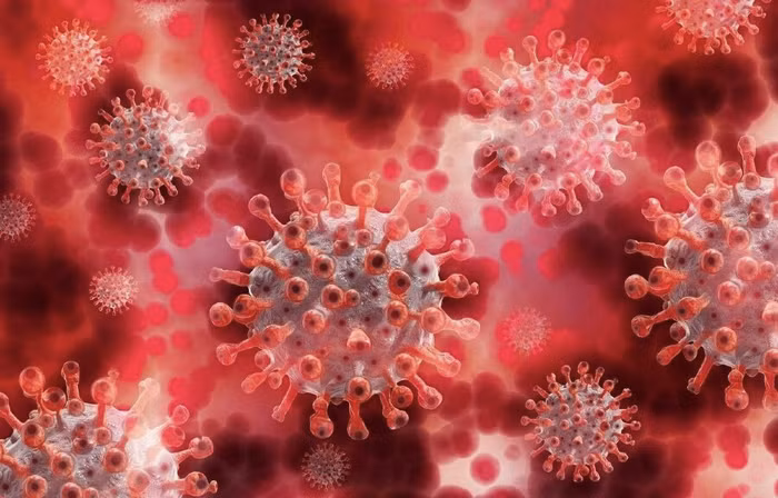 Nhật Bản phát hiện khí ozone có thể vô hiệu hóa virus SARS-CoV-2