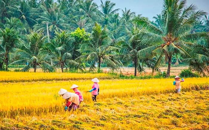 Bến Tre và Quảng Ngãi tạm dừng tiếp nhận khách du lịch