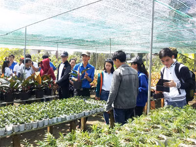 Khởi nghiệp phải bắt đầu từ văn hoá