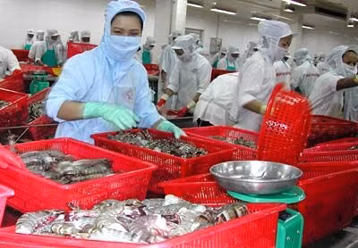 Cảnh báo lừa đảo trong giao dịch xuất khẩu thủy sản
