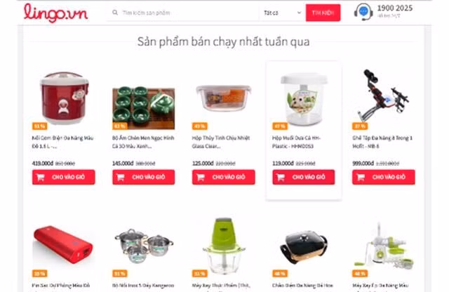 Website thương mại điện tử Lingo.vn đóng cửa?