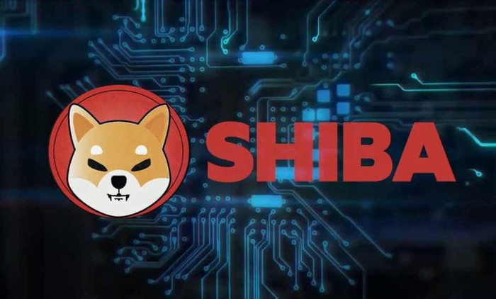 Nhà sáng lập Ethereum quyên góp 1 tỷ USD shibainu Coin cho Ấn Độ