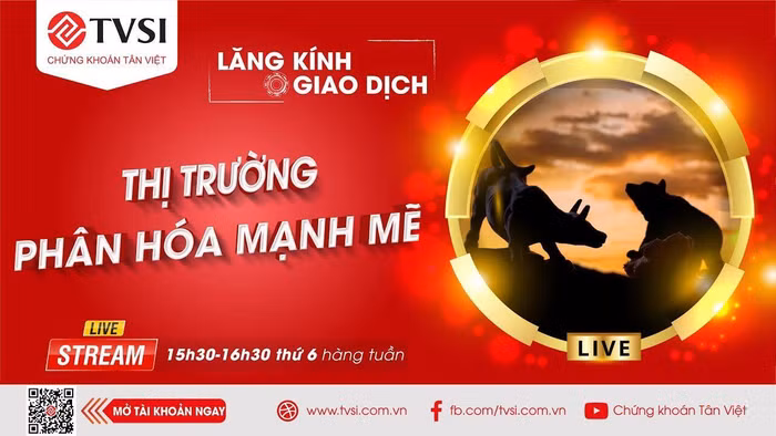 Chứng khoán Tân Việt 