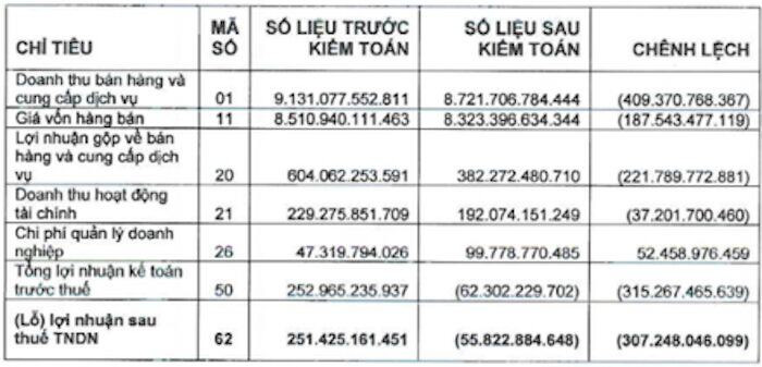 Vua cá tra Hùng Vương bất ngờ lỗ 49 tỷ đồng sau kiểm toán ảnh 1
