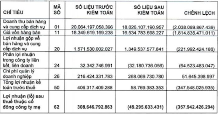Vua cá tra Hùng Vương bất ngờ lỗ 49 tỷ đồng sau kiểm toán ảnh 2