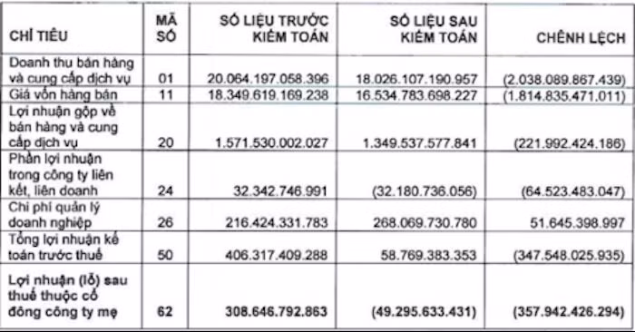 Vua cá tra Hùng Vương bất ngờ lỗ 49 tỷ đồng sau kiểm toán ảnh 2