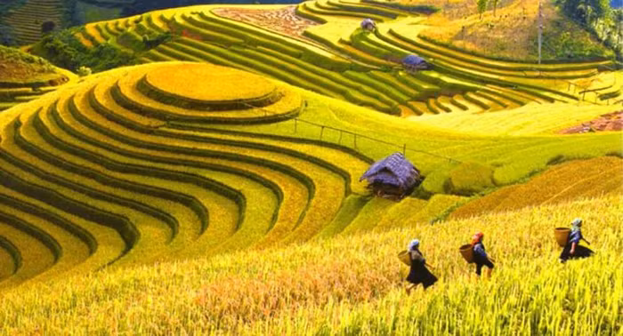 TP.HCM đăng cai tổ chức lễ trao giải World Travel Awards