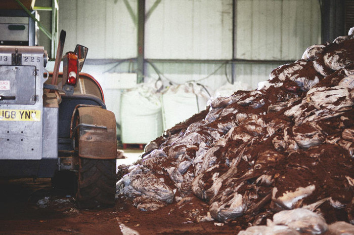 Một công ty Anh Quốc phát triển công nghệ biến bã cà phê thành nhiên liệu hữu ích ảnh 1