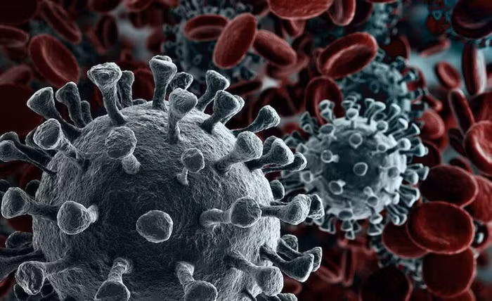 Virus corona là chủ đề đang rất được quan tâm, và do đó trở thành “mồi” cho tội phạm mạng