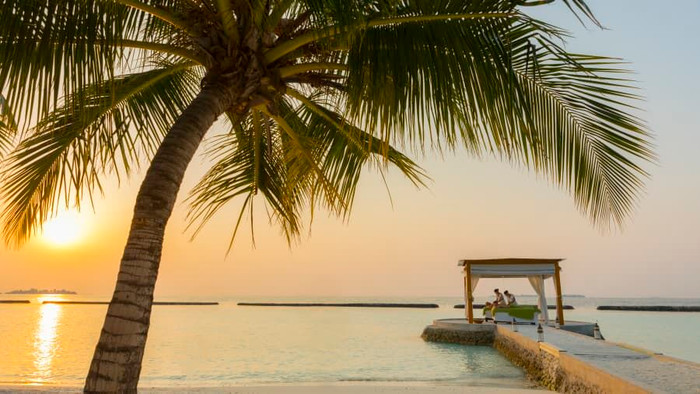 Những dịch vụ không tưởng phục vụ "Giãn cách xã hội" tại Maldives ảnh 5 Những dịch vụ không tưởng phục vụ "Giãn cách xã hội" tại Maldives ảnh 5