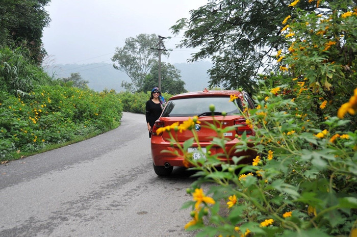 Lên Ba Vì ngắm Dã Quỳ vàng rực ảnh 3 Lên Ba Vì ngắm Dã Quỳ vàng rực ảnh 3
