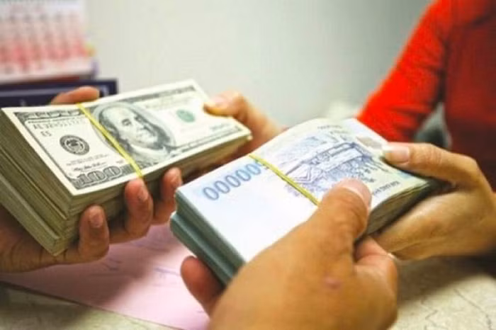 NHNN TP.HCM yêu cầu tăng cường kiểm tra các điểm thu đổi ngoại tệ