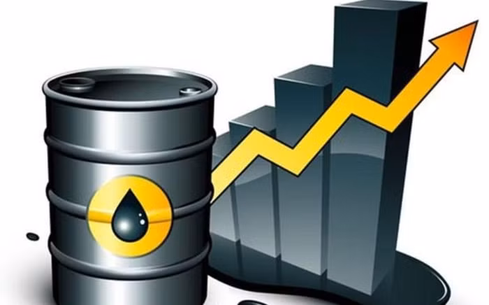 VCCI kiến nghị giảm thuế giá trị gia tăng và thuế tiêu thụ đặc biệt đối với xăng dầu ảnh 1