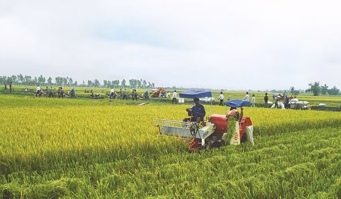 Đại gia nói gì khi quyết định bơm vốn vào Thái Bình?