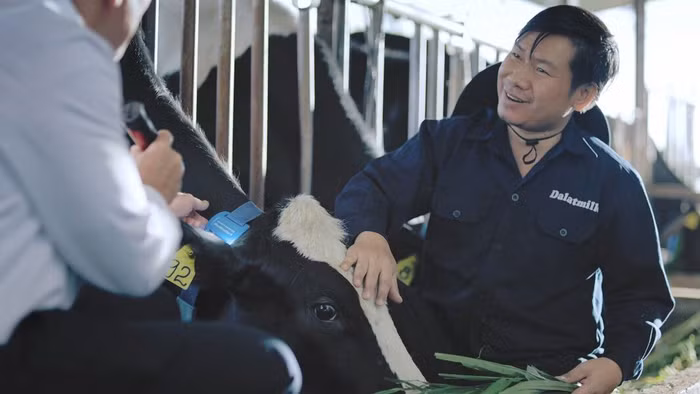 Khí hậu cao nguyên, bí quyết từ truyền thống chăn nuôi lâu năm kết hợp với công nghệ hiện đại là những lợi thế và giá trị mà thương hiệu Dalatmilk có được.