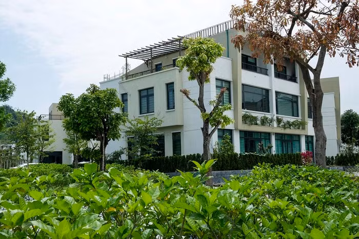 Mua nhà The Manor Lào Cai nhận quà tặng đặc biệt