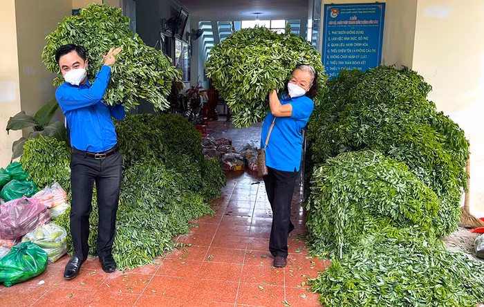 Chủ tịch Hội Bảo trợ NKT-TMC&amp;BNN tỉnh Dương Thị Tuyết (phải) cùng Bí thư Tỉnh Đoàn Trần Quốc Duy chuyển những bó rau ngót xanh non lên xe để gửi đến TP.HCM