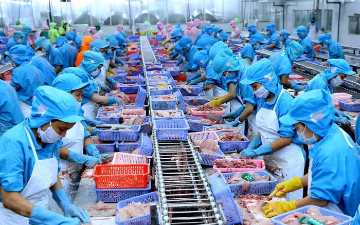 Ngành lâm sản và thuỷ sản được giảm lãi suất cho vay từ 1-2%/năm