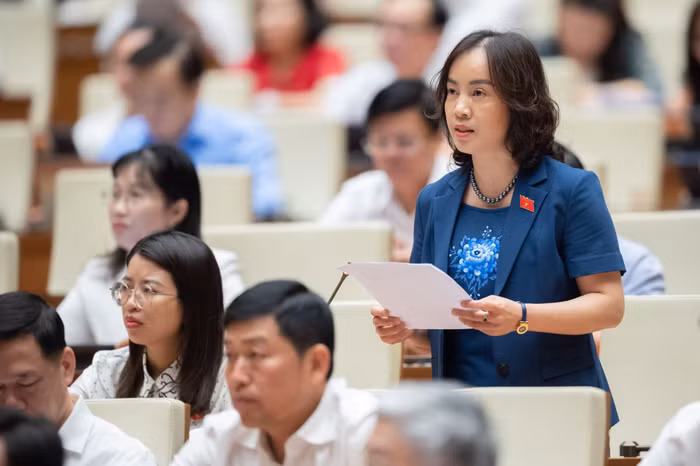 nhà nước can thiệp vào thị trường