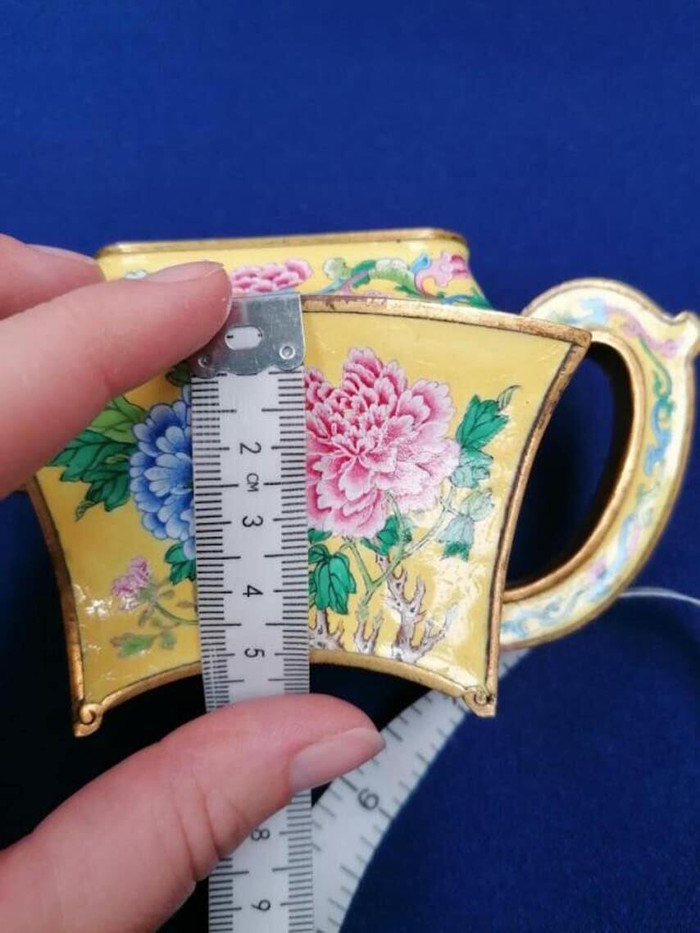 "Phát hiện của năm" được bán với giá 500 nghìn USD ảnh 1 "Phát hiện của năm" được bán với giá 500 nghìn USD ảnh 1