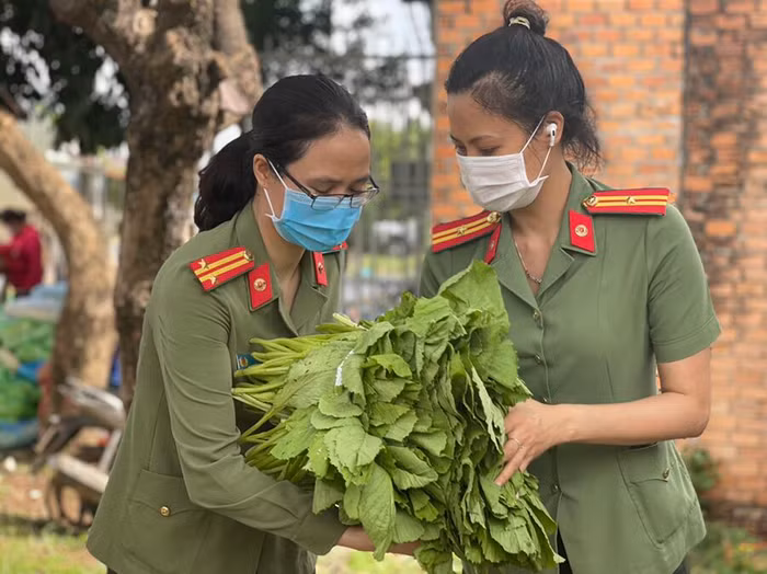 Vận chuyển rau củ hỗ trợ TP HCM