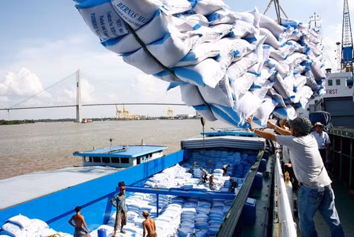 Giá gạo xuất khẩu có xu hướng giảm