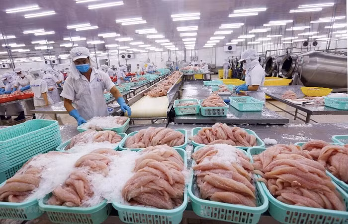 6 tháng đầu năm, xuất khẩu thủy sản đạt gần 4 tỷ USD
