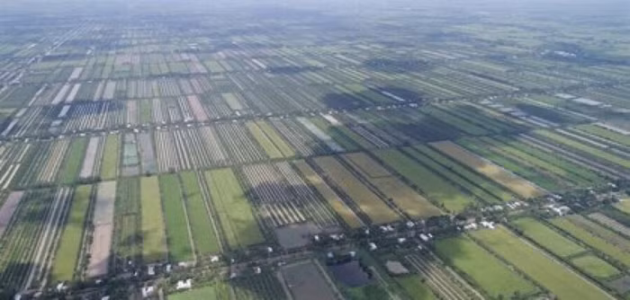 Chỉ còn hơn 1 năm để sắp xếp xong 1,8 triệu ha đất các công ty nông, lâm nghiệp