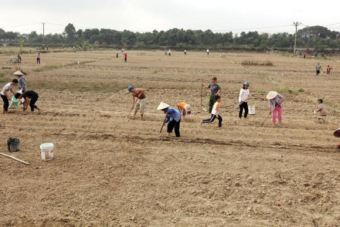 “Kinh tế ngầm” được thống kê: Bức tranh kinh tế chân thực hơn