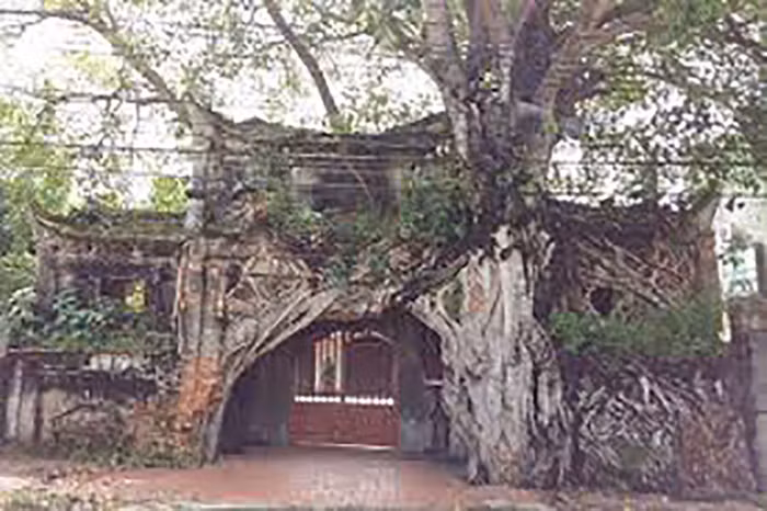Cổng làng thể hiện cho một nếp làng bề thế, thể hiện cả cốt cách của ngôi làng, của những người dân trong làng
