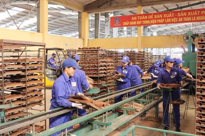 Viglacera Hạ Long sắp trả cổ tức "khủng" hơn 93% bằng tiền