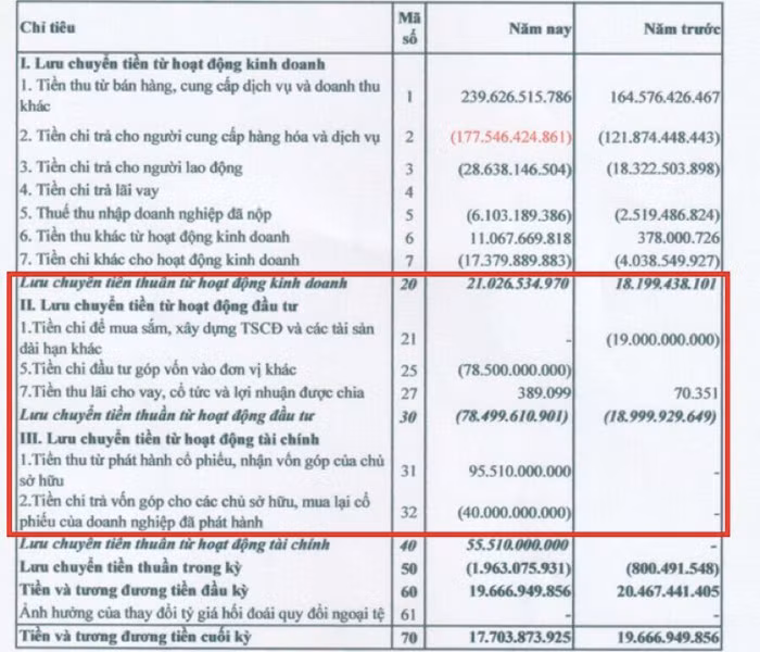 Báo cáo tài chính năm 2019 cho thấy, vốn góp vào các công ty khác của công ty mẹ Vsetgroup khá khiêm tốn