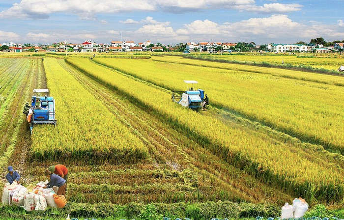 Sau nghiên cứu, Quốc hội đồng ý kéo dài miễn thuế sử dụng đất nông nghiệp đến hết năm 2025