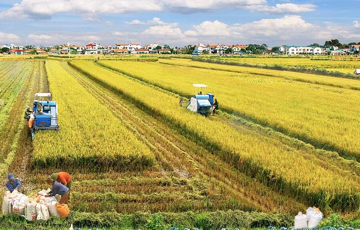 Sau nghiên cứu, Quốc hội đồng ý kéo dài miễn thuế sử dụng đất nông nghiệp đến hết năm 2025