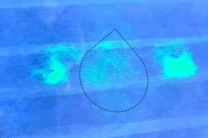 Nhật Bản phát triển khẩu trang có thể phát sáng khi tiếp xúc với Covid-19 ảnh 2 Nhật Bản phát triển khẩu trang có thể phát sáng khi tiếp xúc với Covid-19 ảnh 2