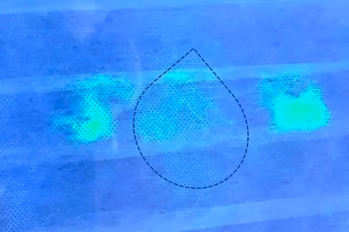 Nhật Bản phát triển khẩu trang có thể phát sáng khi tiếp xúc với Covid-19 ảnh 2