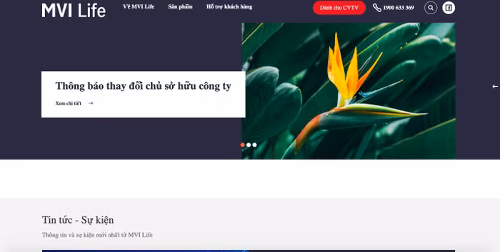 Yêu cầu Bảo hiểm MVI báo cáo về hợp đồng giao kết với diễn viên Ngọc Lan