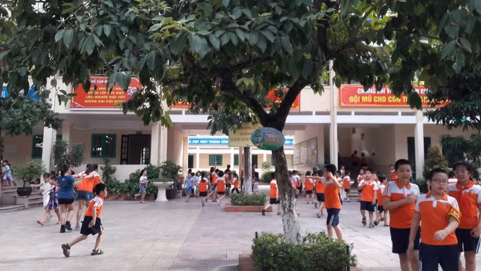 Cty Eco - Fire đã trúng thầu với Liên danh năm 2019 trong gói thầu cải tạo trường tiểu học Thành Công B với giá trúng thầu là 63.553.790.000 đồng
