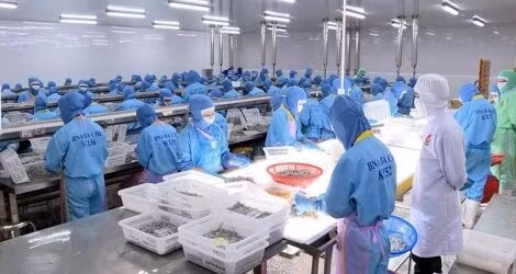 Gần 4,8 tỷ USD hàng xuất khẩu sang EU hưởng ưu đãi theo EVFTA