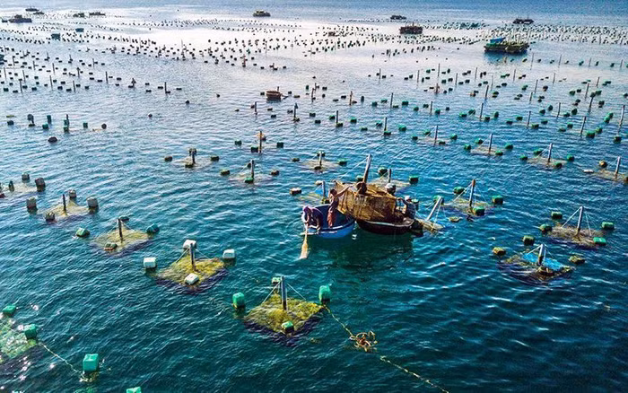 giảm tiền thuê đất, thuê mặt nước
