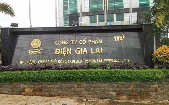 CTCP Điện Gia Lai 