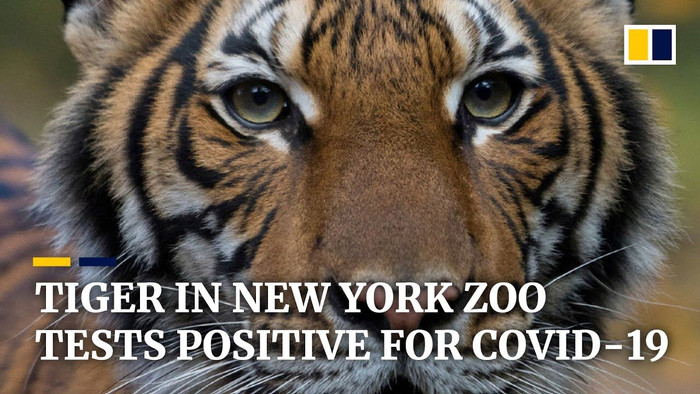 Top 10 vấn đề trên Nat Geo năm 2020: Sự thống trị của Covid-19! ảnh 5