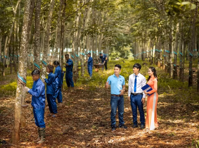 Cho vay chuỗi giá trị thúc đẩy phát triển kinh tế nông thôn bền vững ảnh 1