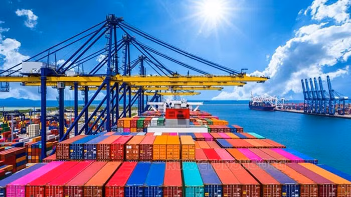 Năm 2021, kim ngạch xuất khẩu có thể đạt 313 tỷ USD