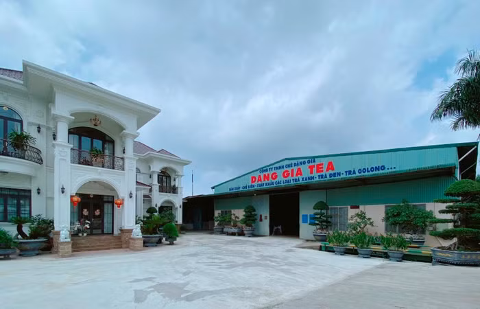 Vụ sử dụng hóa chất để nhuộm chè, Lâm Đồng yêu cầu 5 doanh nghiệp báo cáo