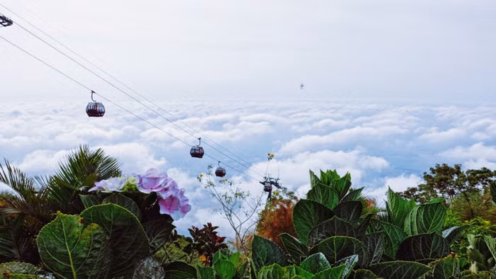 du lịch Tây Ninh