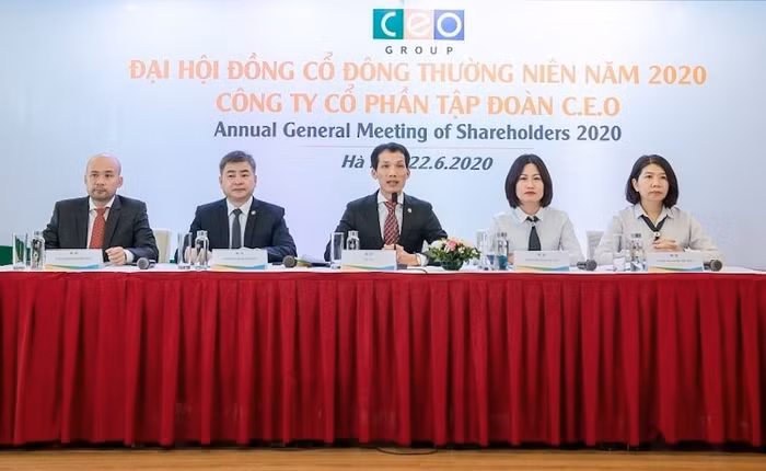 ĐHCĐ Tập đoàn CEO: Mục tiêu doanh thu 3.000 tỷ đồng, đẩy mạnh bất động sản nhà ở